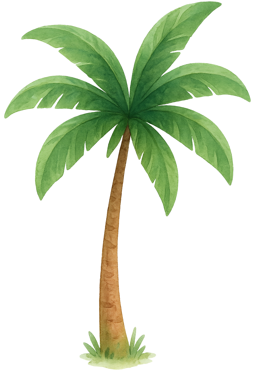 Palm Tree