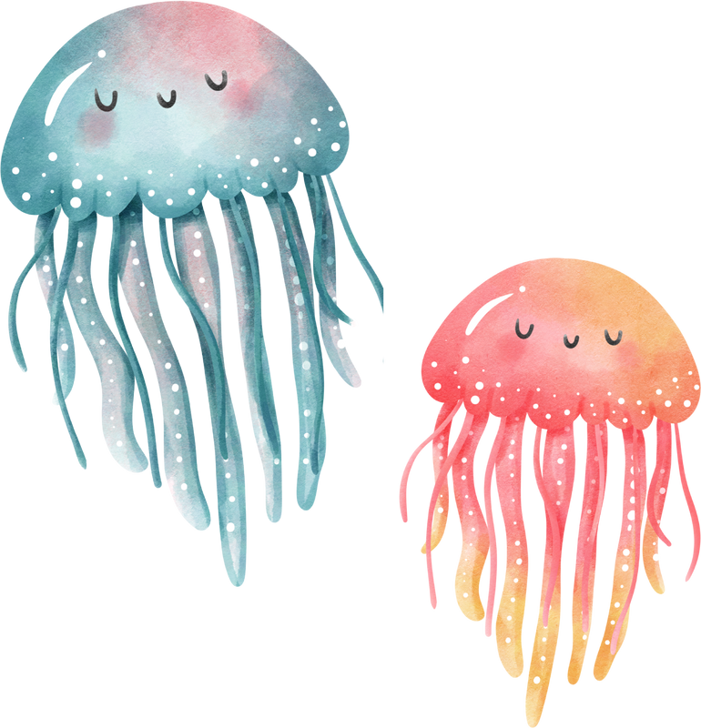 Fond coquillage